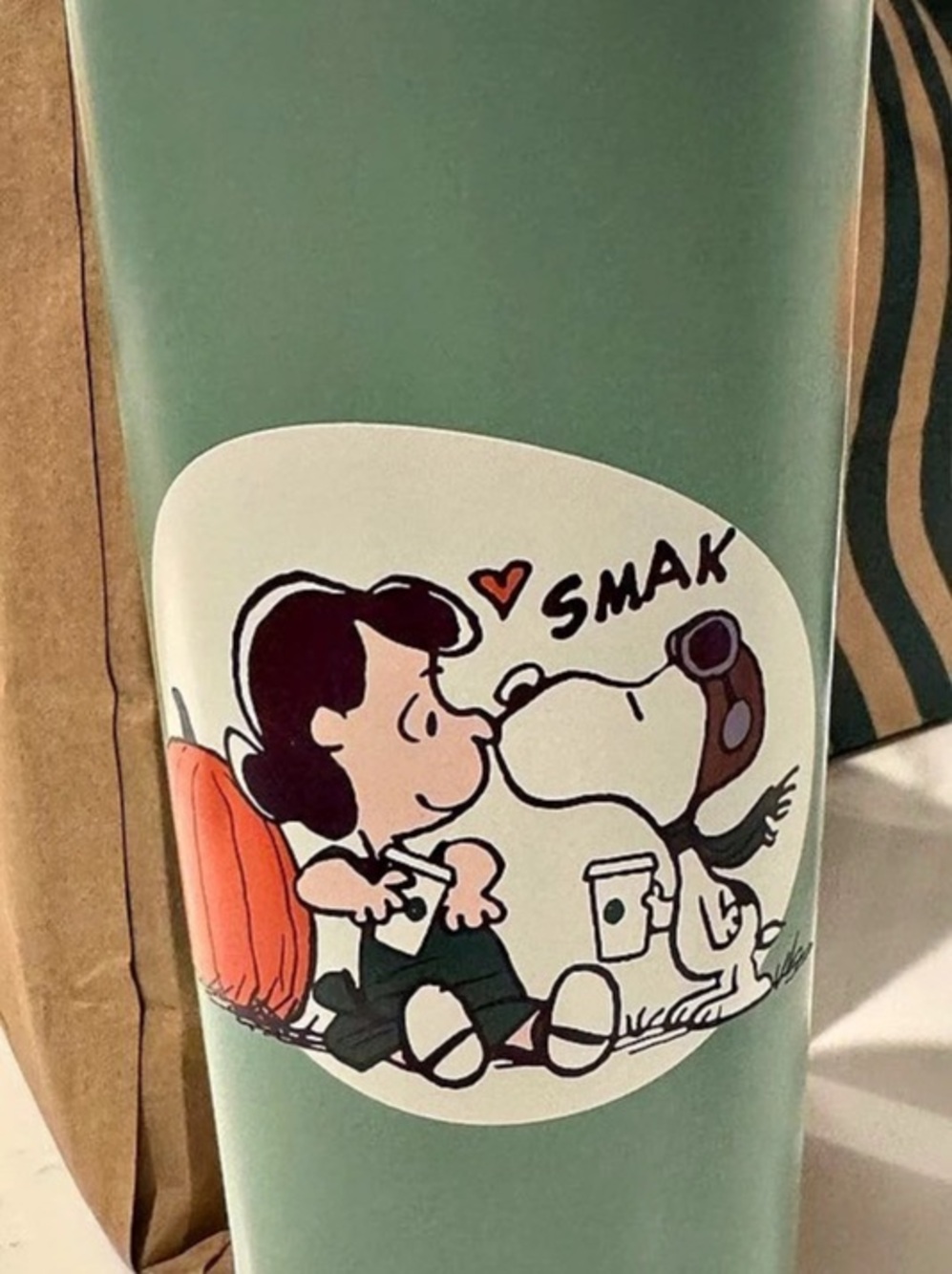 Starbucks x Peanuts Stainless Steel Cold Cup Green & White